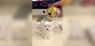 Funny beer mug
