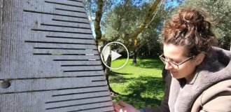 Сардинія — сад каменів, що співають