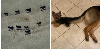 22 фото, на которых в схватке сошлись реальность и перспектива (23 фото)