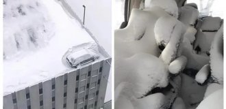 29 уморительных зимних неудач (30 фото)