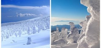 Джухё – ледяные призрачные стражи горы Дзао (17 фото)