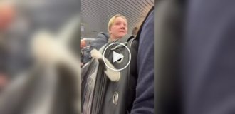 Транспортування буйного пухнастого пасажира