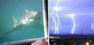 30 удивительных фактов, которые взорвут ваш мозг (31 фото)