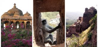 Fort Ranthambore - an ancient citadel and the kingdom of tigers (20 photos + 1 video)