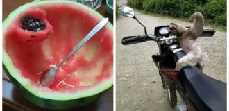 25 реальных жизненных моментов, которые невозможно выдумать (26 фото)