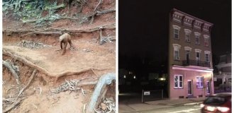 20 ярких примеров того, как виртуозно глаза и мозг могут нас обманывать, создавая новую реальность (21 фото)