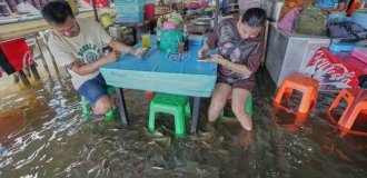 Бизнес на катастрофе или рыбный успех тайского ресторана (4 фото)