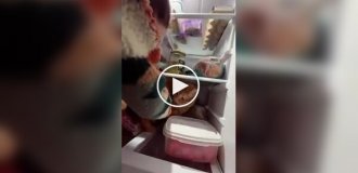 Кот не хочет покидать холодильник