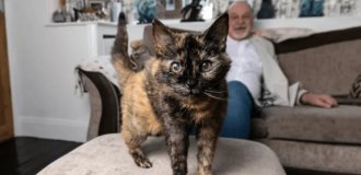 Born in the last century: a man showed his oldest cat in the world (4 photos)