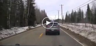 Погоня на Аляске с эпичным финалом