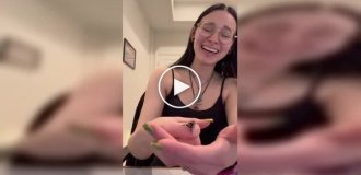 Паук-скакун поднимает лапку при п риветствии