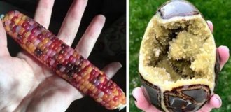20 amazing photos you should see at least once in your life (21 photos) (photo)