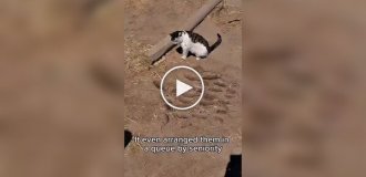 У кота выдалась славная охота