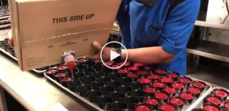 Professional ketchup pouring