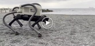 In Italy, a robot was developed to clean up cigarette butts on the beaches