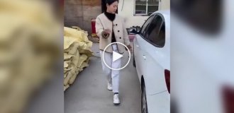 Диво килимки з Китаю для машин