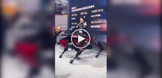В Китае создали робота-коня
