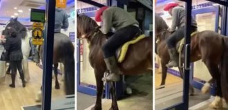 Men went into a store with their horses (2 photos + 1 video)