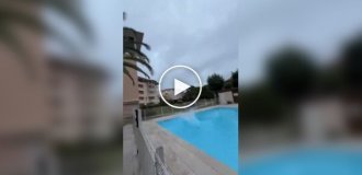 Risky business Jumping into a pool from the roof