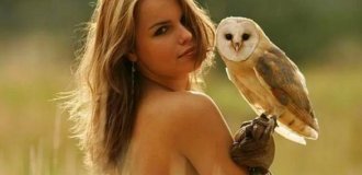 Silent killing machine: interesting facts about owls (19 photos)