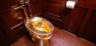 Three robbers convicted of stealing a gold toilet worth 4.8 million pounds from the Duke of Marlborough's estate (8 photos + 1 video)