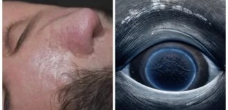 10 удивительных вещей, людей, фактов и решений, которые перевернут ваше представление о мире (11 фото)