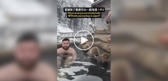 A man bathed next to Japanese macaques