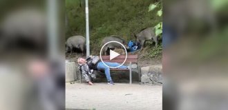 Единение с природой в Польше