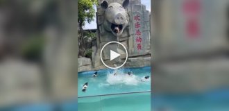 At a Chinese zoo, pigs have a pool with a tower