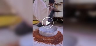 Шеллак в Индии: древняя смола с вечной ценностью