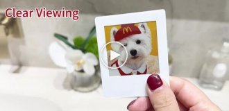 Магниты на холодильник, в которые можно загружать фотографии