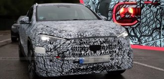 Mercedes понравился, поэтому они сделали предложение (2 фото)