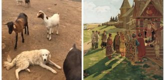 8 исторических фактов, в которые невозможно поверить, но они реальны (9 фото)