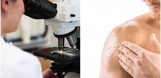 У США тестують протизаплідний гель для чоловіків (3 фото)