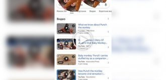 Google запустила специальную анимацию в поиске в честь обезьянки Панча