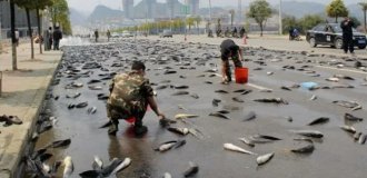Город, в котором идет дождь из рыб. Ученые не могут объяснить феномен, это загадка! (4 фото)