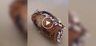 Колонка несколько месяцев находилась в воде и до сих пор работает