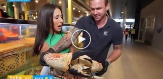 Краб атаковал журналистку в эфире — ее «месть» удивила зрителей