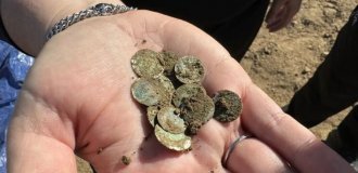 "Можно сравнить с джекпотом": женщина нашла горшок с древними монетами (6 фото)