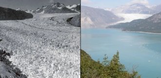 Как мы разрушаем собственную планету (20 фото)