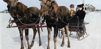 Подборка фотографий из прошлого, которые заставляют удивиться (21 фото)
