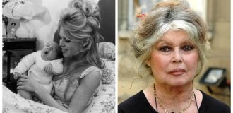 «Она любила  меха, а я — свою семью»: как первая красавица Франции  променяла нежеланное дитя на свободу (14 фото)