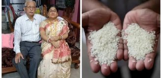 From silicone memory to a rice detector: 3 incredible facts about India (10 photos)