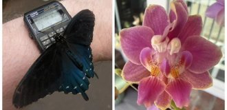 25 Signs That Even the Most Ordinary Day Is Beautiful and Wonderful (26 photos)