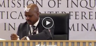 Салфетка прилипла ко лбу бывшего чиновника из ЮАР во время слушания о коррупции