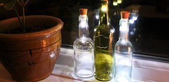 22 способа превратить пустую бутылку в практичное произведение искусства (22 фото)