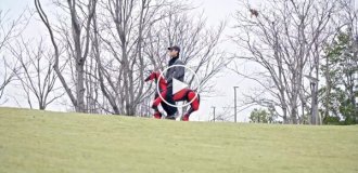 Китайцы сделали роболошадь