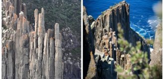 Тасманский каменный орган, созданный приливом (10 фото)