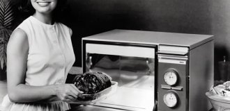 10 неожиданных способов использования микроволновки (12 фото)