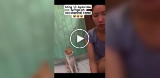 A funny cat's reaction to its owner's singing